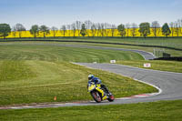 Lower Group Yellow Bikes